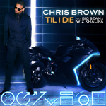 Chris Brown Till I Die TheLavaLizard