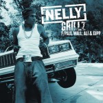 Nelly Grillz TheLavaLizard